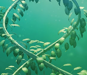 Artistiek beeld van planten die DNA helix vormen